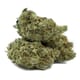 Green Crack Sativa | Top Shelf Flower
