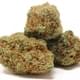 Super Sour Diesel (exotic)