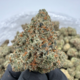 Grape Skunk (Indica)
