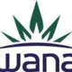 500mg - Wana