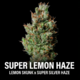 Super Lemon Haze