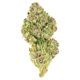 Pink kush ( Top shelf )