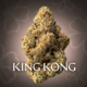 King Kong