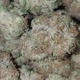 Bio-Chem - High Valley Farms