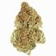 KING LOUIE XIII OG (EXOTIC)