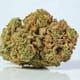Sour Diesel