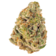 Hawaiian Dream