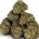 GG4 (exotic)