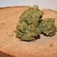 GG4 (f.k.a. Gorilla Glue #4)