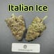 Italian Ice---Designer