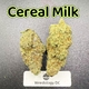 Cereal Milk---Top Shelf