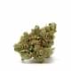 Motor breath ( Top shelf)
