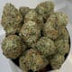 HAWG | Green Dawg Cultivators