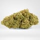 Gorilla Glue (PREMIUM)