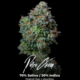 Petro Chem