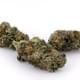Pinkleberry Kush (Top Shelf)