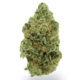 Euphoria (TOP SHELF)