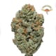 Space Face (AAA)indoor