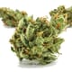 Pineapple Xpress