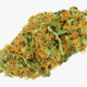 Rose OG