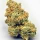 Kushzilla AAA