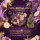 Taro OG
