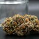 AC Diesel (TOP-SHELF)
