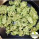 $99 GG1 Prepack OZ
