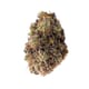 Alien Blackout-AAA