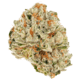 Lemon Thai( AAA+)