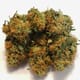 Sour Diesel