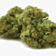 Pineapple chunk
