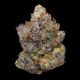 Jamaican Dream