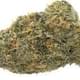 Purple Urkle (PREMIUM)