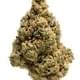 OCTONE OG (PREMIUM)