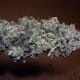 Skunk Berry