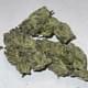 WHITE WIDOW