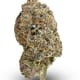 Grapes and cream (AAA+)
