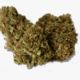 Blackberry Kush