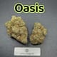 Oasis---Top Shelf