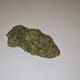 Dutch Treat (PREMIUM)