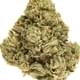 Skywalker OG (exotic)