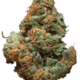 Blue Cheese (Designer)