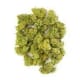 Green Crack