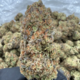 Tropical Cookies (Hybrid)