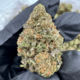 Zkittlez +A (Indica)