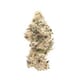 OG Medhead Small Buds