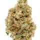Emerald jack ( Premium)