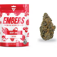 Berry Jane - 7g Smalls (Ember Valley)