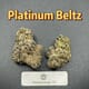 Platinum Beltz---Designer